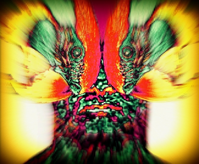 3 uomo pappagallo, 2018, computer graphics